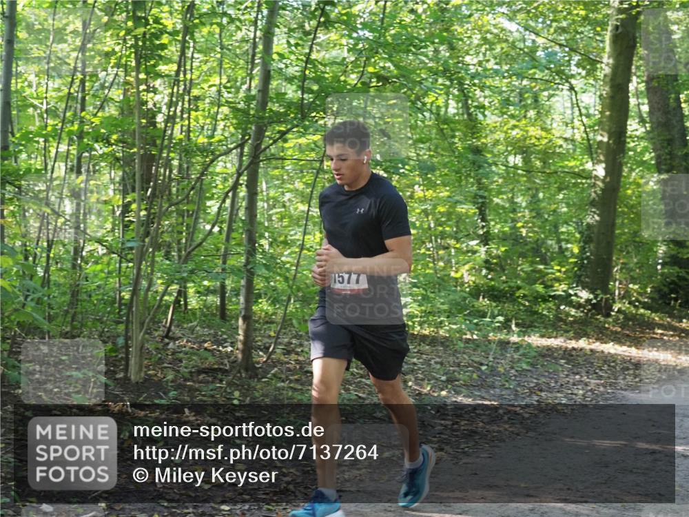 22.09.2024 - 32. Volkslauf durch das schöne Alstertal Miley Keyser http://msf.ph/oto/7137264 22.09.2024 10:21:58 Laufen 1577 meine-sportfotos.de