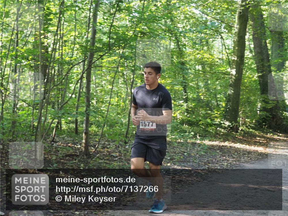 22.09.2024 - 32. Volkslauf durch das schöne Alstertal Miley Keyser http://msf.ph/oto/7137266 22.09.2024 10:21:58 Laufen 1577 meine-sportfotos.de