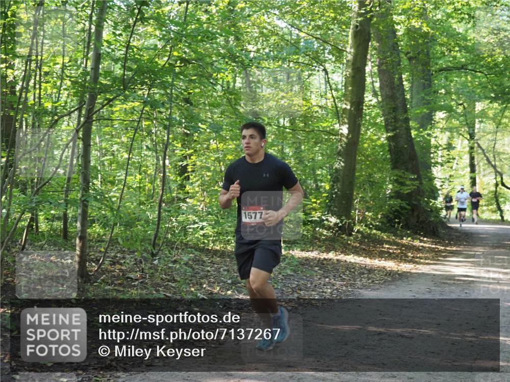 22.09.2024 - 32. Volkslauf durch das schöne Alstertal Miley Keyser http://msf.ph/oto/7137267 22.09.2024 10:21:58 Laufen 1577 meine-sportfotos.de