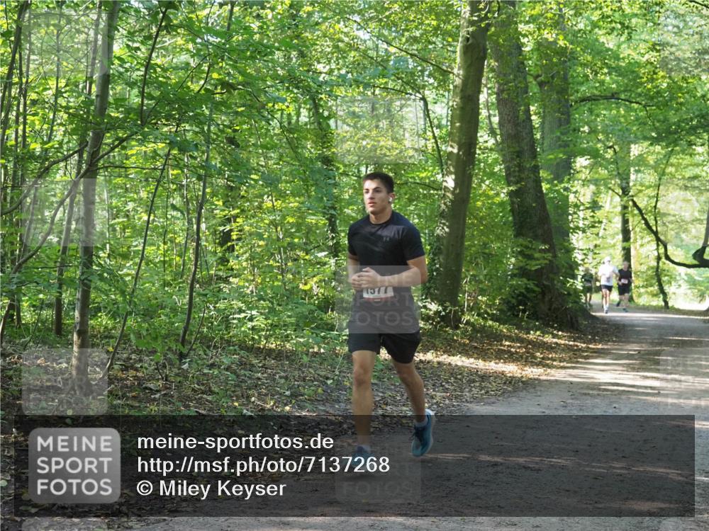 22.09.2024 - 32. Volkslauf durch das schöne Alstertal Miley Keyser http://msf.ph/oto/7137268 22.09.2024 10:21:57 Laufen  meine-sportfotos.de