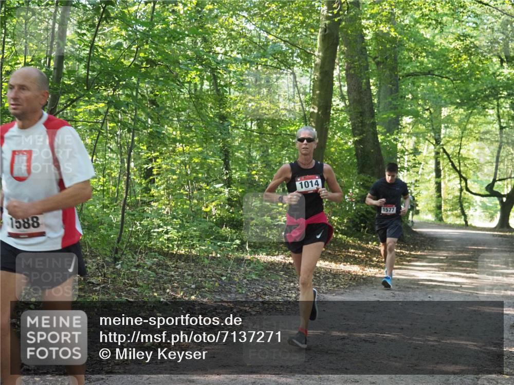 22.09.2024 - 32. Volkslauf durch das schöne Alstertal Miley Keyser http://msf.ph/oto/7137271 22.09.2024 10:21:56 Laufen 1588, 1014, 1577 meine-sportfotos.de