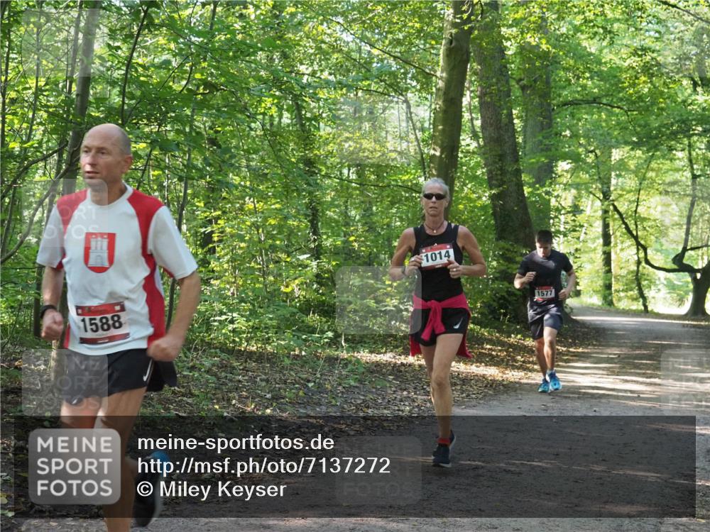 22.09.2024 - 32. Volkslauf durch das schöne Alstertal Miley Keyser http://msf.ph/oto/7137272 22.09.2024 10:21:56 Laufen 1588, 1014, 1577 meine-sportfotos.de