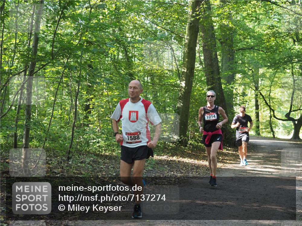 22.09.2024 - 32. Volkslauf durch das schöne Alstertal Miley Keyser http://msf.ph/oto/7137274 22.09.2024 10:21:55 Laufen 1588, 1014, 1577 meine-sportfotos.de