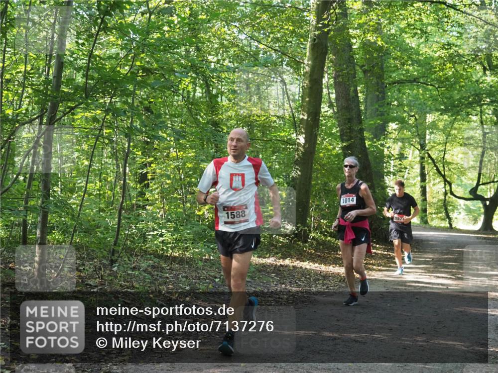 22.09.2024 - 32. Volkslauf durch das schöne Alstertal Miley Keyser http://msf.ph/oto/7137276 22.09.2024 10:21:55 Laufen 1014, 1588, 157 meine-sportfotos.de