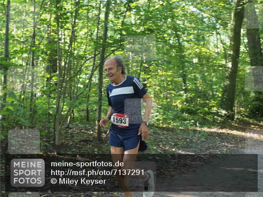 22.09.2024 - 32. Volkslauf durch das schöne Alstertal Miley Keyser http://msf.ph/oto/7137291 22.09.2024 10:21:43 Laufen 1593 meine-sportfotos.de