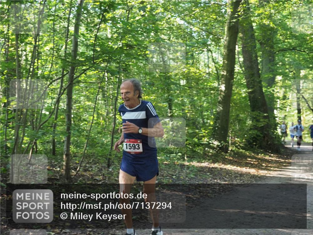 22.09.2024 - 32. Volkslauf durch das schöne Alstertal Miley Keyser http://msf.ph/oto/7137294 22.09.2024 10:21:43 Laufen 1593 meine-sportfotos.de