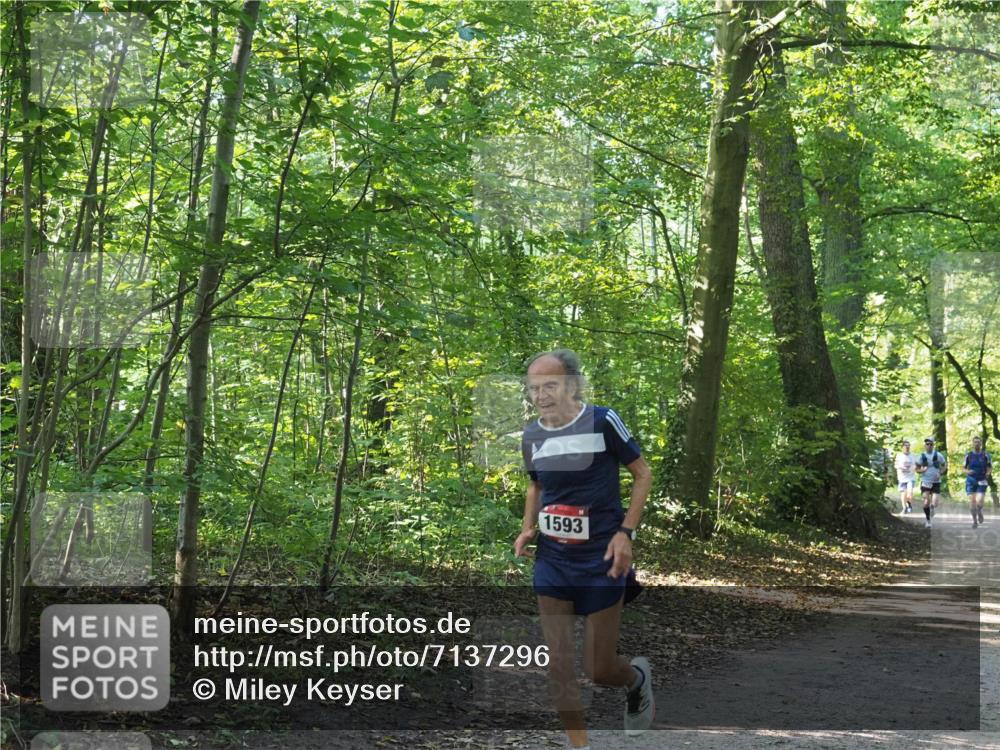22.09.2024 - 32. Volkslauf durch das schöne Alstertal Miley Keyser http://msf.ph/oto/7137296 22.09.2024 10:21:42 Laufen 1593 meine-sportfotos.de