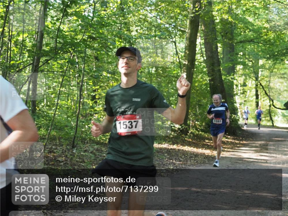 22.09.2024 - 32. Volkslauf durch das schöne Alstertal Miley Keyser http://msf.ph/oto/7137299 22.09.2024 10:21:40 Laufen 1537, 1593 meine-sportfotos.de