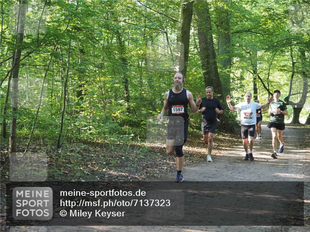 22.09.2024 - 32. Volkslauf durch das schöne Alstertal Miley Keyser http://msf.ph/oto/7137323 22.09.2024 10:21:37 Laufen 1597, 1637, 1537 meine-sportfotos.de