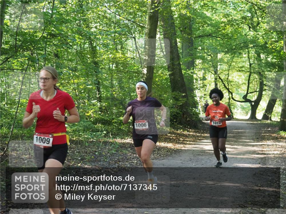 22.09.2024 - 32. Volkslauf durch das schöne Alstertal Miley Keyser http://msf.ph/oto/7137345 22.09.2024 10:21:23 Laufen 1009, 1006, 1015 meine-sportfotos.de
