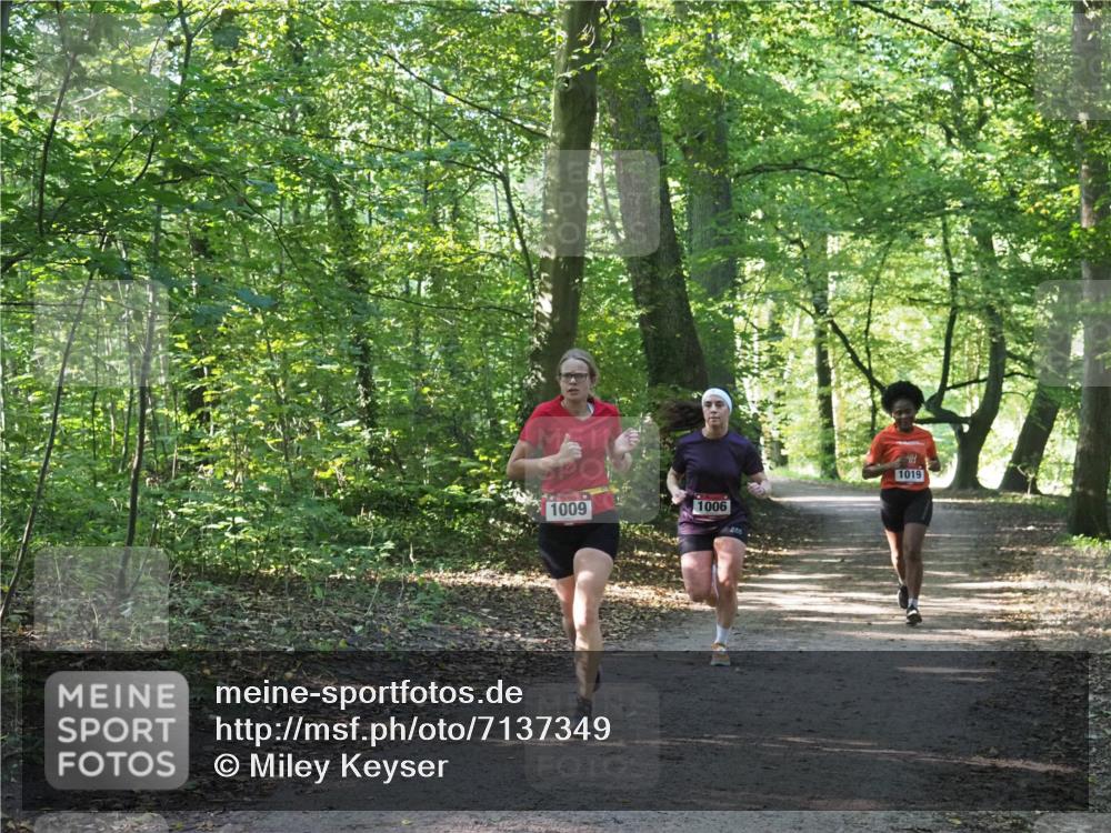 22.09.2024 - 32. Volkslauf durch das schöne Alstertal Miley Keyser http://msf.ph/oto/7137349 22.09.2024 10:21:21 Laufen 1009, 1006, 1019 meine-sportfotos.de