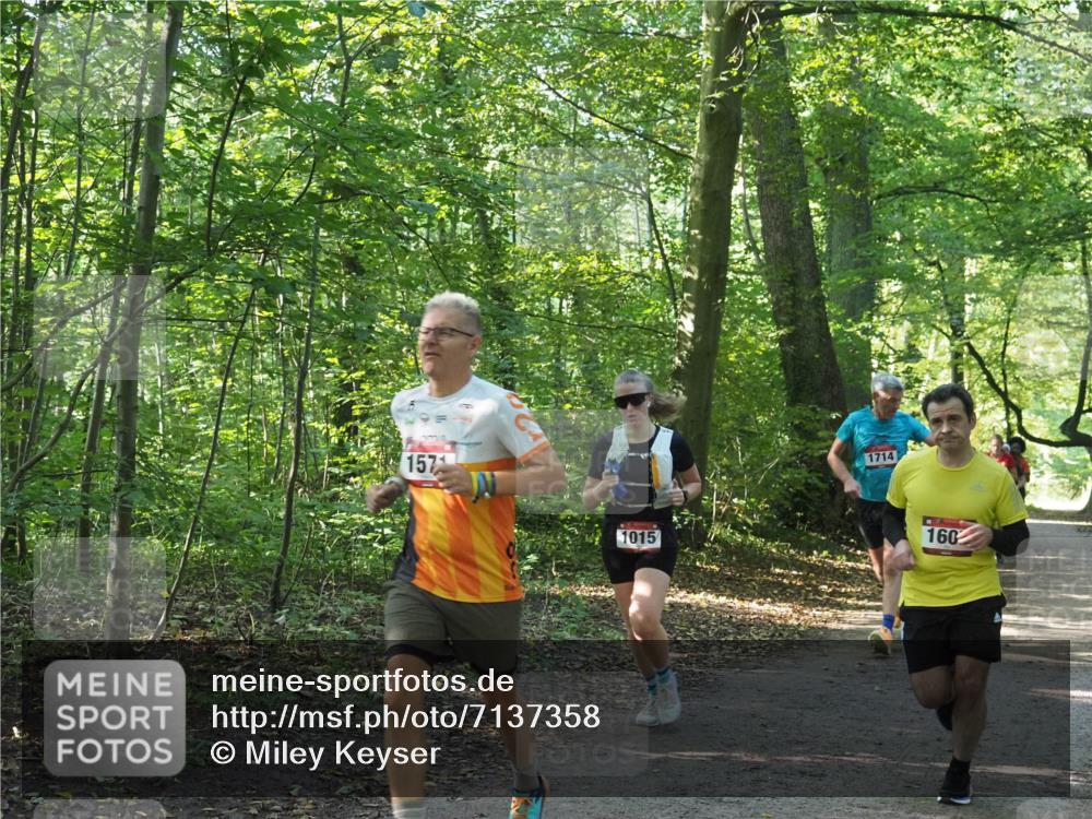 22.09.2024 - 32. Volkslauf durch das schöne Alstertal Miley Keyser http://msf.ph/oto/7137358 22.09.2024 10:21:16 Laufen 157, 1015, 1714, 160 meine-sportfotos.de