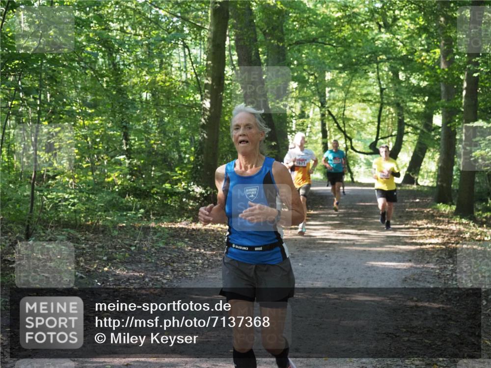 22.09.2024 - 32. Volkslauf durch das schöne Alstertal Miley Keyser http://msf.ph/oto/7137368 22.09.2024 10:21:13 Laufen 1571 meine-sportfotos.de