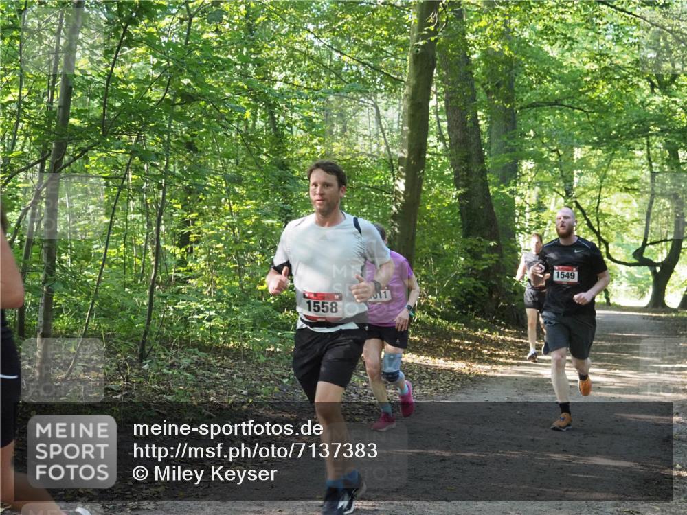 22.09.2024 - 32. Volkslauf durch das schöne Alstertal Miley Keyser http://msf.ph/oto/7137383 22.09.2024 10:21:00 Laufen 1558, 1549 meine-sportfotos.de