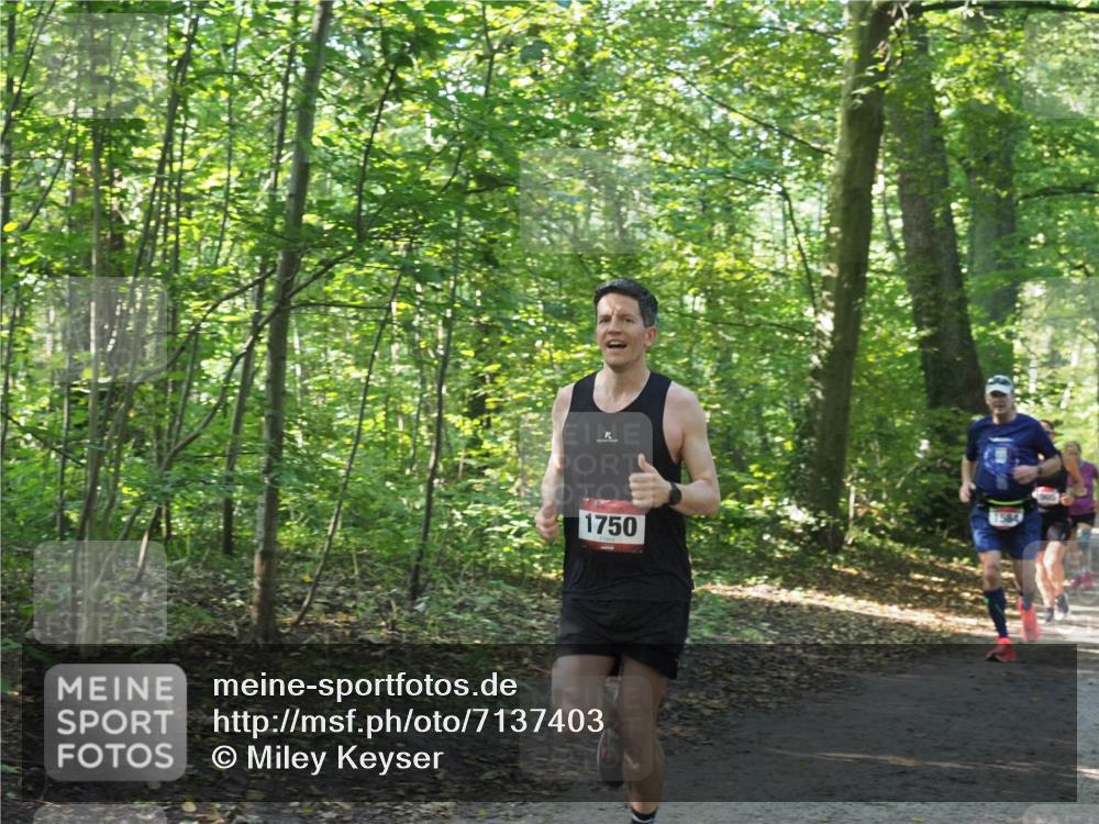 22.09.2024 - 32. Volkslauf durch das schöne Alstertal Miley Keyser http://msf.ph/oto/7137403 22.09.2024 10:20:56 Laufen 1750 meine-sportfotos.de