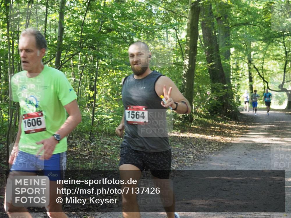 22.09.2024 - 32. Volkslauf durch das schöne Alstertal Miley Keyser http://msf.ph/oto/7137426 22.09.2024 10:20:40 Laufen 1606, 1564 meine-sportfotos.de