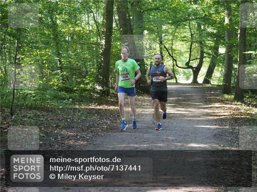22.09.2024 - 32. Volkslauf durch das schöne Alstertal Miley Keyser http://msf.ph/oto/7137441 22.09.2024 10:20:38 Laufen 1606, 1564 meine-sportfotos.de