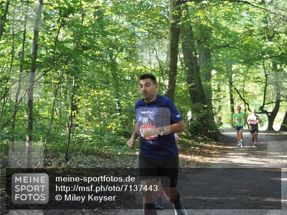 22.09.2024 - 32. Volkslauf durch das schöne Alstertal Miley Keyser http://msf.ph/oto/7137443 22.09.2024 10:20:34 Laufen 12 meine-sportfotos.de
