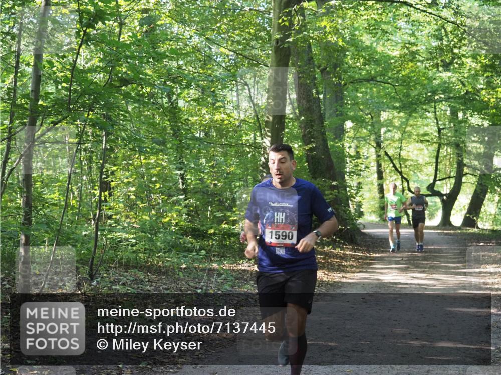 22.09.2024 - 32. Volkslauf durch das schöne Alstertal Miley Keyser http://msf.ph/oto/7137445 22.09.2024 10:20:34 Laufen 1590, 1544 meine-sportfotos.de