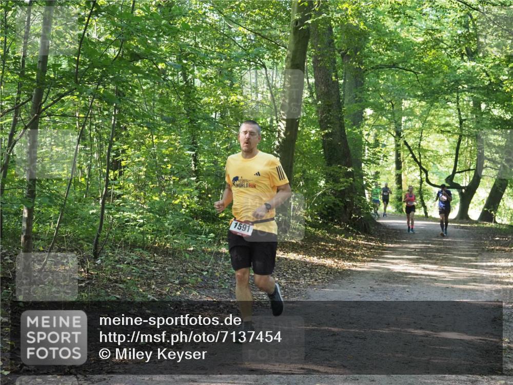 22.09.2024 - 32. Volkslauf durch das schöne Alstertal Miley Keyser http://msf.ph/oto/7137454 22.09.2024 10:20:27 Laufen 1591 meine-sportfotos.de