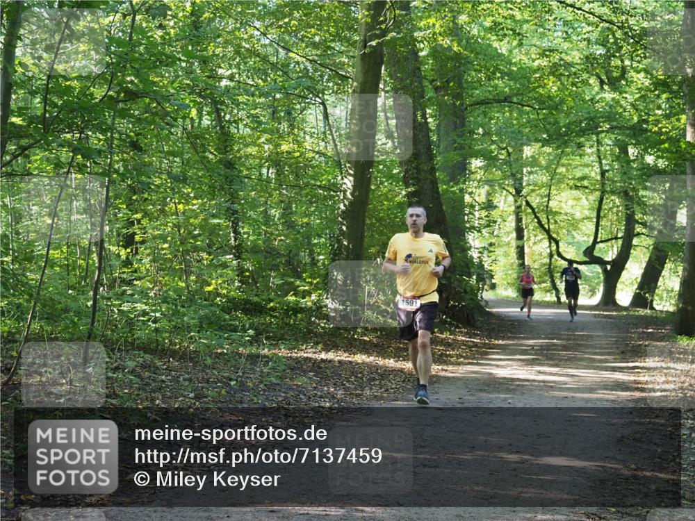 22.09.2024 - 32. Volkslauf durch das schöne Alstertal Miley Keyser http://msf.ph/oto/7137459 22.09.2024 10:20:25 Laufen 1591 meine-sportfotos.de