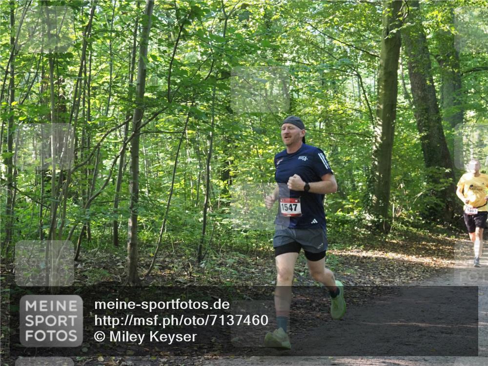 22.09.2024 - 32. Volkslauf durch das schöne Alstertal Miley Keyser http://msf.ph/oto/7137460 22.09.2024 10:20:24 Laufen 1547, 1591 meine-sportfotos.de