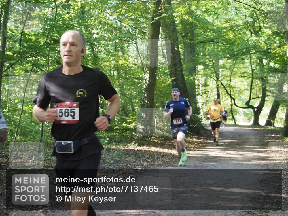 22.09.2024 - 32. Volkslauf durch das schöne Alstertal Miley Keyser http://msf.ph/oto/7137465 22.09.2024 10:20:23 Laufen 1565, 1547 meine-sportfotos.de