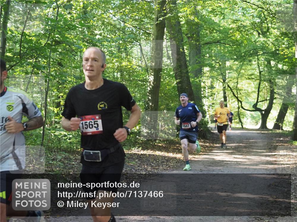 22.09.2024 - 32. Volkslauf durch das schöne Alstertal Miley Keyser http://msf.ph/oto/7137466 22.09.2024 10:20:23 Laufen 1565, 1547 meine-sportfotos.de