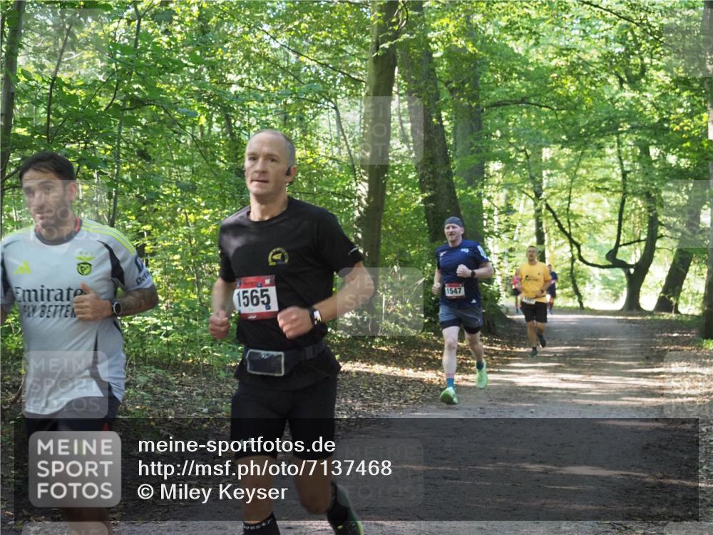 22.09.2024 - 32. Volkslauf durch das schöne Alstertal Miley Keyser http://msf.ph/oto/7137468 22.09.2024 10:20:23 Laufen 1565, 1547 meine-sportfotos.de