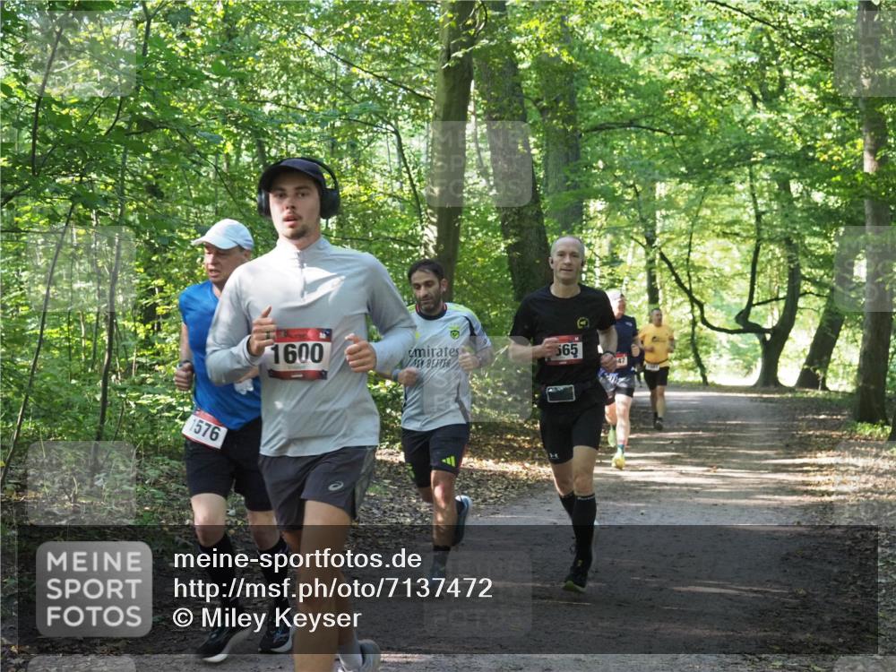 22.09.2024 - 32. Volkslauf durch das schöne Alstertal Miley Keyser http://msf.ph/oto/7137472 22.09.2024 10:20:21 Laufen 1576, 1600, 565 meine-sportfotos.de