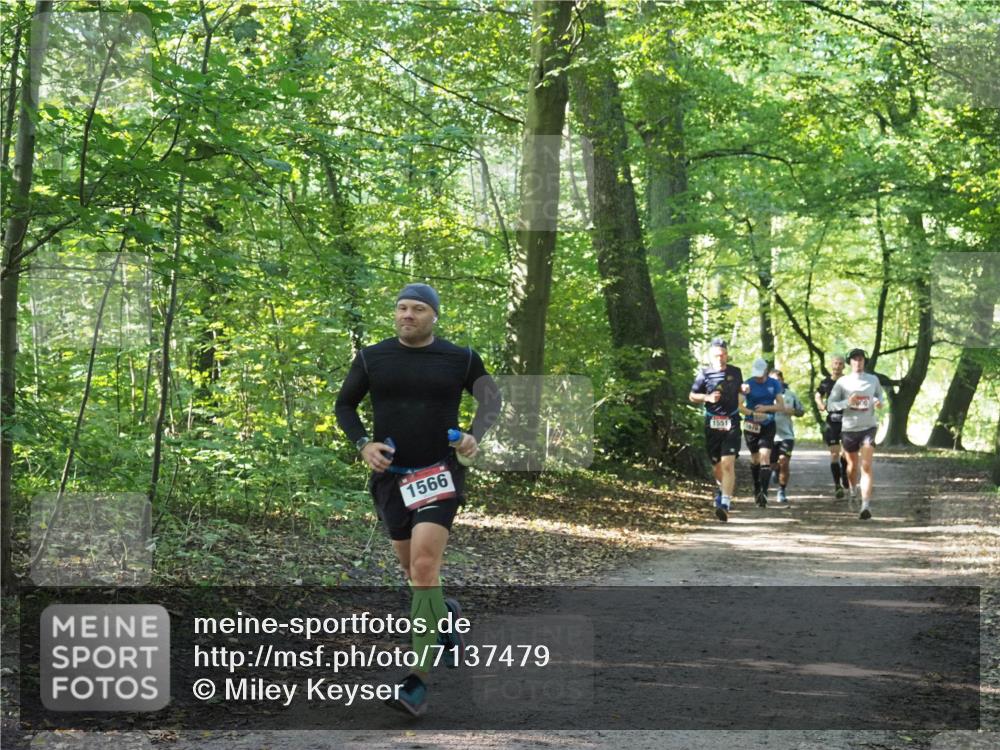22.09.2024 - 32. Volkslauf durch das schöne Alstertal Miley Keyser http://msf.ph/oto/7137479 22.09.2024 10:20:17 Laufen 1566, 1551, 1576 meine-sportfotos.de