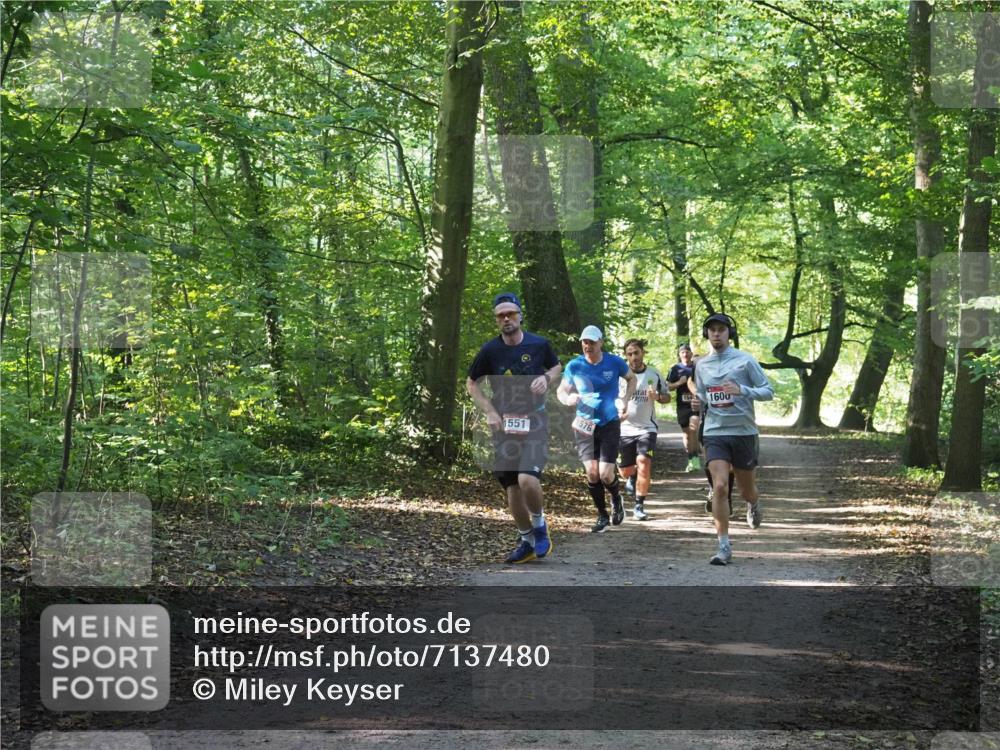22.09.2024 - 32. Volkslauf durch das schöne Alstertal Miley Keyser http://msf.ph/oto/7137480 22.09.2024 10:20:19 Laufen 1551, 1576, 5, 1600 meine-sportfotos.de