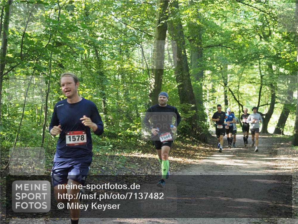 22.09.2024 - 32. Volkslauf durch das schöne Alstertal Miley Keyser http://msf.ph/oto/7137482 22.09.2024 10:20:16 Laufen 1578, 1566, 155197 meine-sportfotos.de