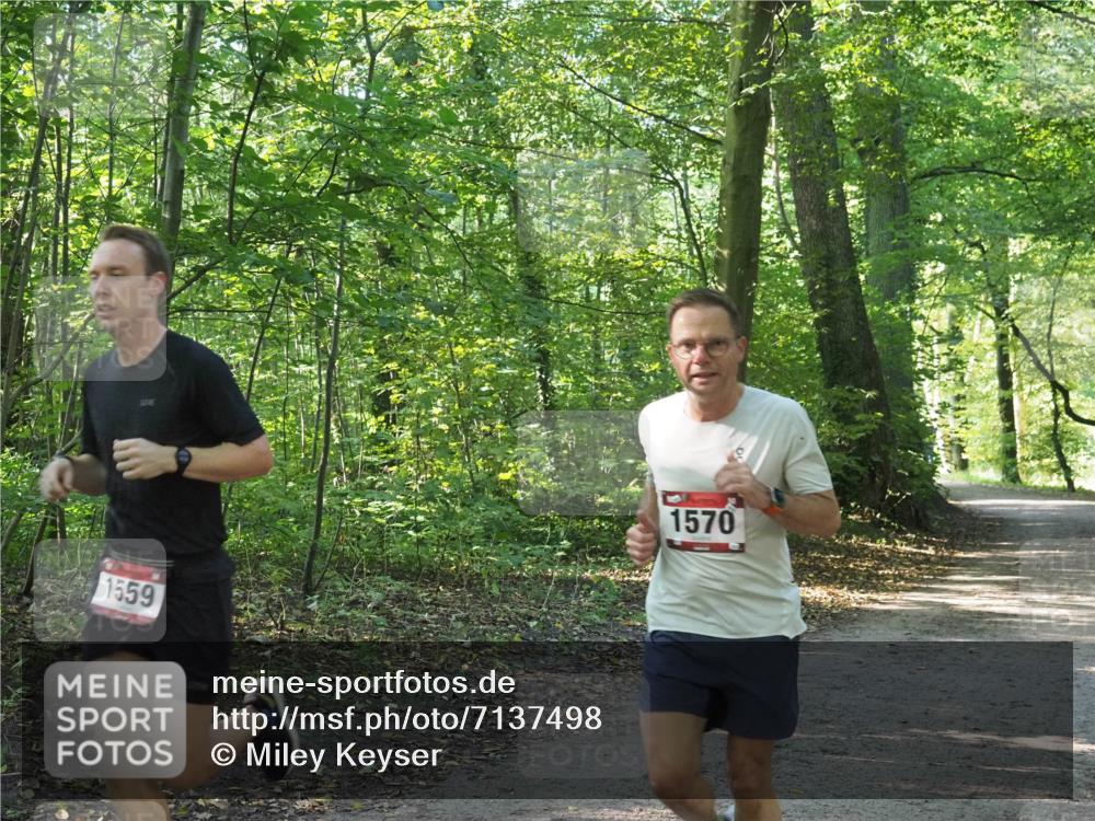 22.09.2024 - 32. Volkslauf durch das schöne Alstertal Miley Keyser http://msf.ph/oto/7137498 22.09.2024 10:20:01 Laufen 1559, 1570 meine-sportfotos.de