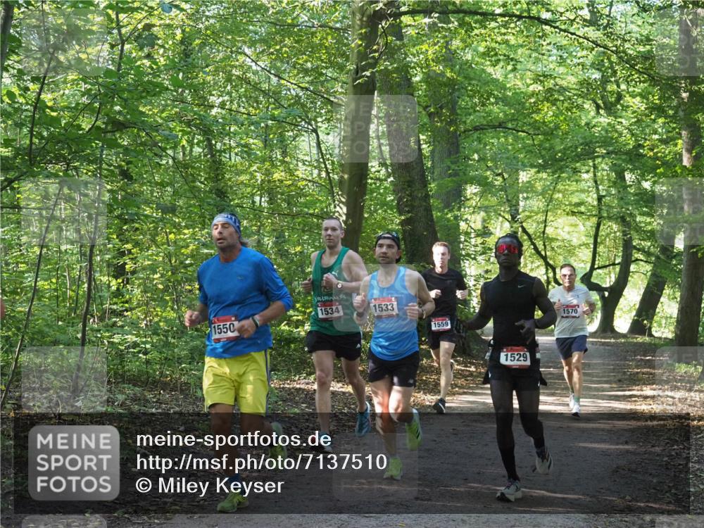 22.09.2024 - 32. Volkslauf durch das schöne Alstertal Miley Keyser http://msf.ph/oto/7137510 22.09.2024 10:19:58 Laufen 1550, 1534, 1533, 1559, 1529, 1570 meine-sportfotos.de