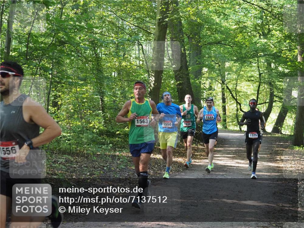 22.09.2024 - 32. Volkslauf durch das schöne Alstertal Miley Keyser http://msf.ph/oto/7137512 22.09.2024 10:19:57 Laufen 1556, 1563, 1550, 1534, 1533, 1529 meine-sportfotos.de