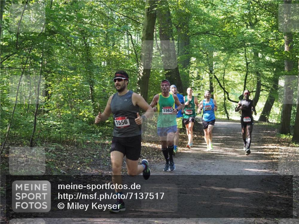 22.09.2024 - 32. Volkslauf durch das schöne Alstertal Miley Keyser http://msf.ph/oto/7137517 22.09.2024 10:19:56 Laufen 1563, 1533, 1534, 1556, 1529 meine-sportfotos.de