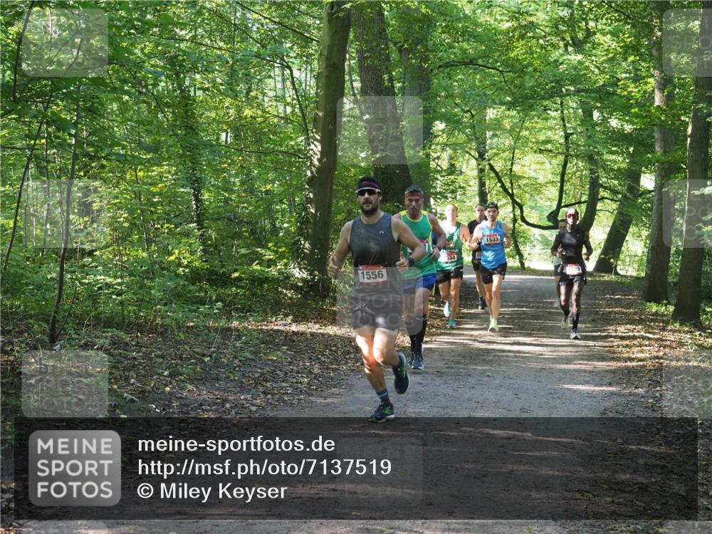 22.09.2024 - 32. Volkslauf durch das schöne Alstertal Miley Keyser http://msf.ph/oto/7137519 22.09.2024 10:19:56 Laufen 1556, 534, 1533 meine-sportfotos.de