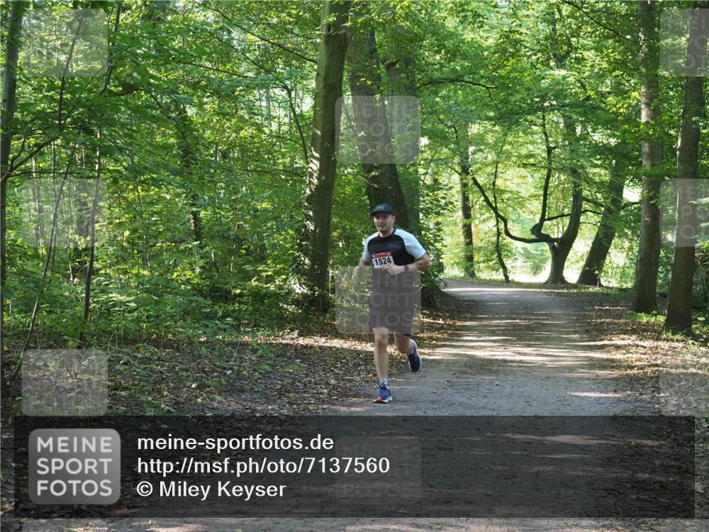 22.09.2024 - 32. Volkslauf durch das schöne Alstertal Miley Keyser http://msf.ph/oto/7137560 22.09.2024 10:19:24 Laufen 1524 meine-sportfotos.de