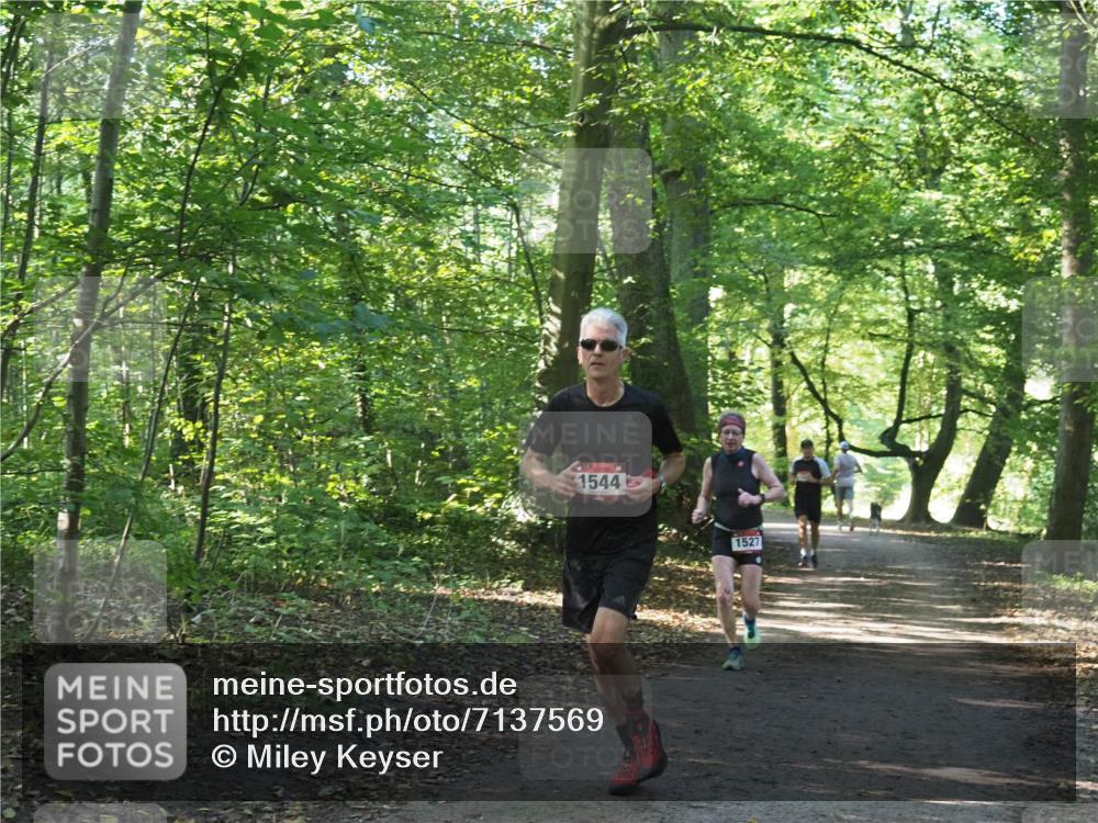 22.09.2024 - 32. Volkslauf durch das schöne Alstertal Miley Keyser http://msf.ph/oto/7137569 22.09.2024 10:19:20 Laufen 1544, 1527 meine-sportfotos.de