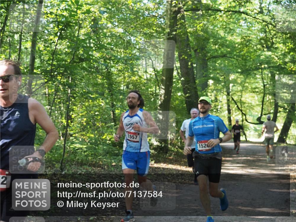 22.09.2024 - 32. Volkslauf durch das schöne Alstertal Miley Keyser http://msf.ph/oto/7137584 22.09.2024 10:19:14 Laufen 2, 1557, 4, 1526 meine-sportfotos.de