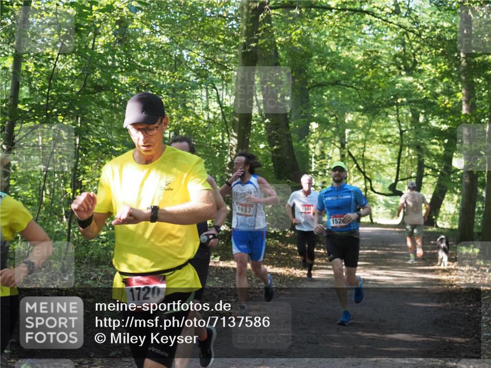 22.09.2024 - 32. Volkslauf durch das schöne Alstertal Miley Keyser http://msf.ph/oto/7137586 22.09.2024 10:19:13 Laufen 1557, 1720, 1565, 1526 meine-sportfotos.de