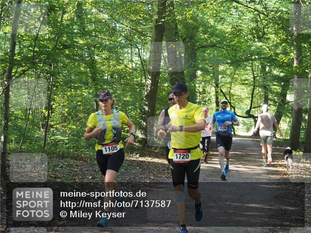 22.09.2024 - 32. Volkslauf durch das schöne Alstertal Miley Keyser http://msf.ph/oto/7137587 22.09.2024 10:19:13 Laufen 1105, 1720, 69, 4, 1526 meine-sportfotos.de