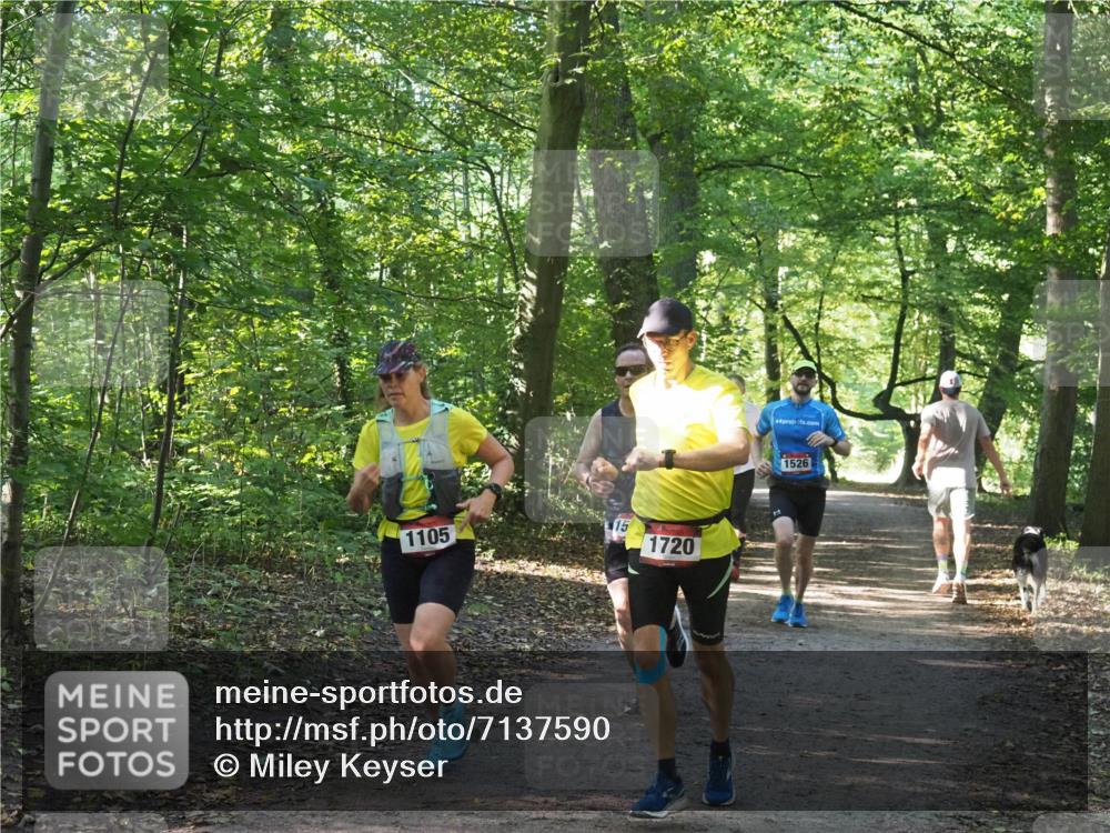 22.09.2024 - 32. Volkslauf durch das schöne Alstertal Miley Keyser http://msf.ph/oto/7137590 22.09.2024 10:19:13 Laufen 15, 1105, 1720, 4, 1526 meine-sportfotos.de