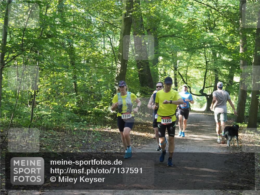 22.09.2024 - 32. Volkslauf durch das schöne Alstertal Miley Keyser http://msf.ph/oto/7137591 22.09.2024 10:19:12 Laufen 1105, 1720, 1526 meine-sportfotos.de