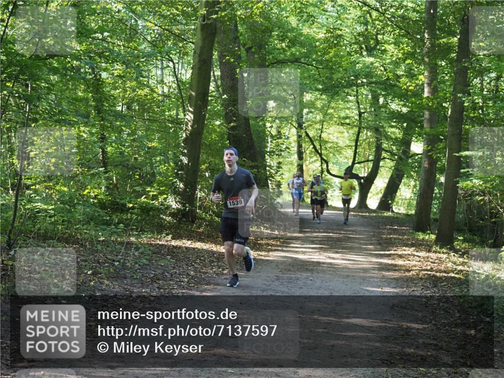 22.09.2024 - 32. Volkslauf durch das schöne Alstertal Miley Keyser http://msf.ph/oto/7137597 22.09.2024 10:19:06 Laufen 1539 meine-sportfotos.de