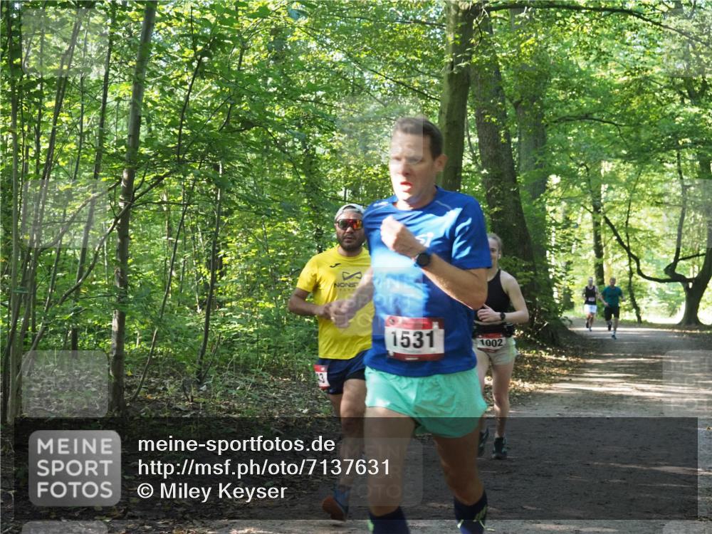 22.09.2024 - 32. Volkslauf durch das schöne Alstertal Miley Keyser http://msf.ph/oto/7137631 22.09.2024 10:18:38 Laufen 1531, 1002 meine-sportfotos.de