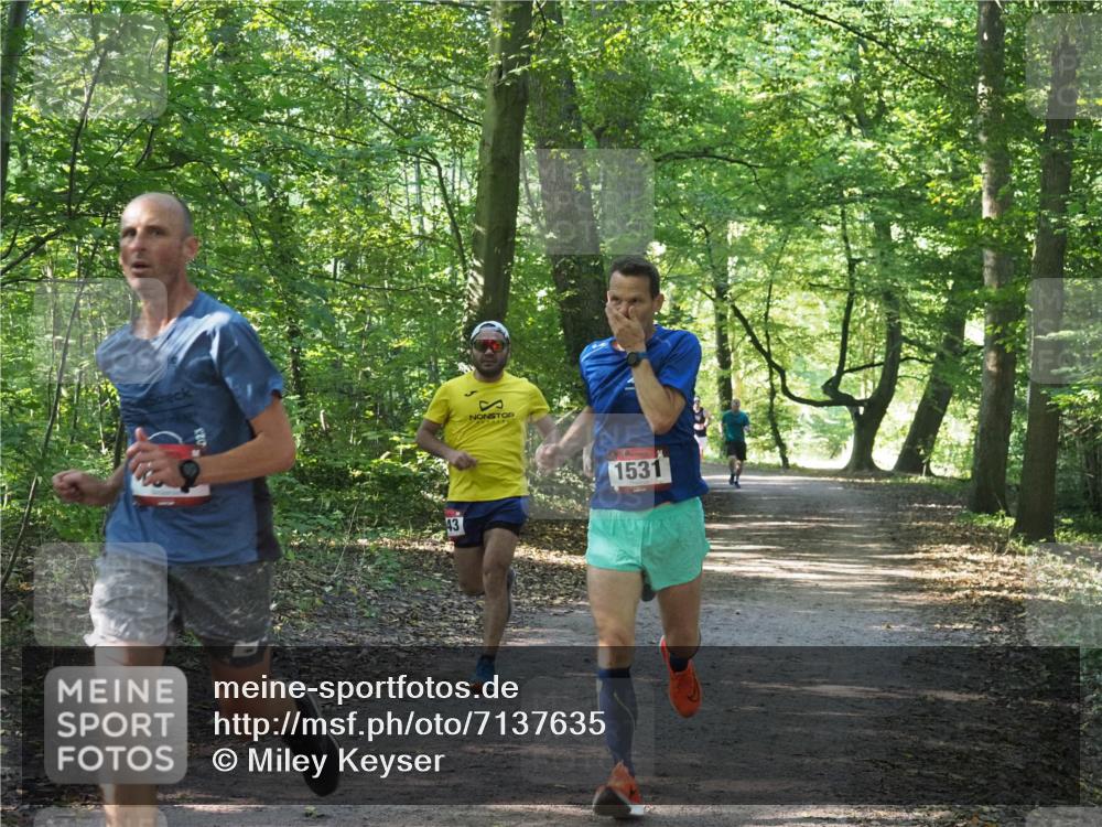 22.09.2024 - 32. Volkslauf durch das schöne Alstertal Miley Keyser http://msf.ph/oto/7137635 22.09.2024 10:18:38 Laufen 1531 meine-sportfotos.de