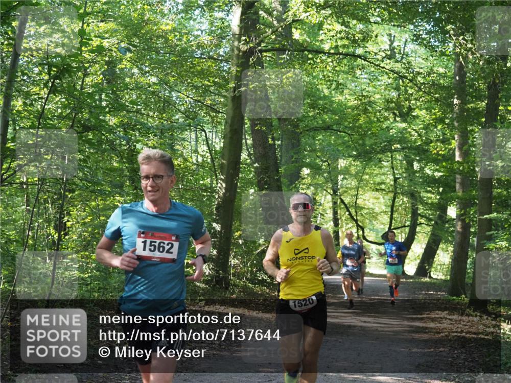 22.09.2024 - 32. Volkslauf durch das schöne Alstertal Miley Keyser http://msf.ph/oto/7137644 22.09.2024 10:18:33 Laufen 1562, 1520 meine-sportfotos.de