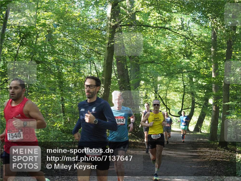 22.09.2024 - 32. Volkslauf durch das schöne Alstertal Miley Keyser http://msf.ph/oto/7137647 22.09.2024 10:18:32 Laufen 1540, 1516, 562, 1520 meine-sportfotos.de